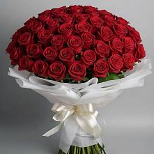 Букет 101 Красная роза Блэк Мэджик #REPLACE_PRED# Мензелинске