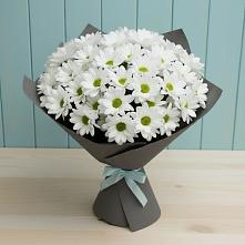 Букет цветов из:  Хризантемы в Мензелинске