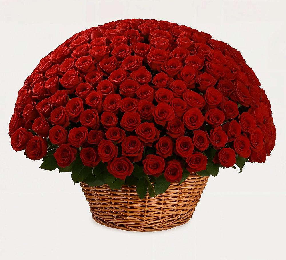 Премиум букет из: Розы в Мензелинске