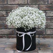 Цветочная композиция из Гипсофила в шляпной коробке в Мензелинске